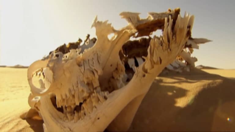 In The Sahara Desert – Land of Fear