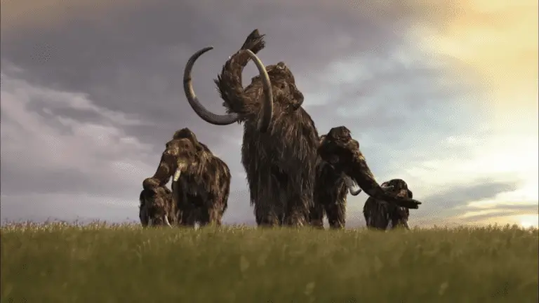 Mammoths – Giants of the Ice Age