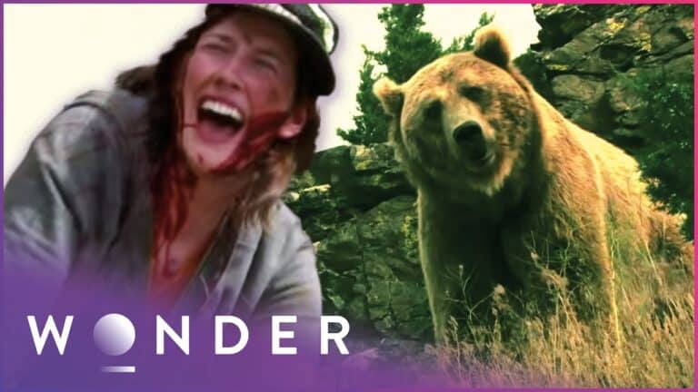 Incredible tales of survival after grizzly bear attacks