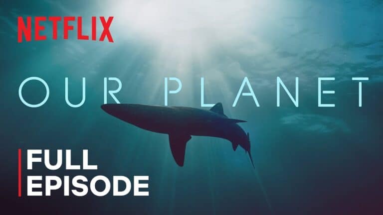 Our Planet's Coastal Seas Are In Danger!