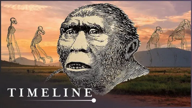 Scientists Uncover The First Human - How Did They Evolve