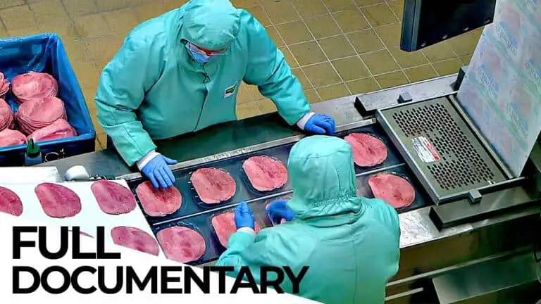 The Meat Lobby: How the Meat Industry Hides the Truth
