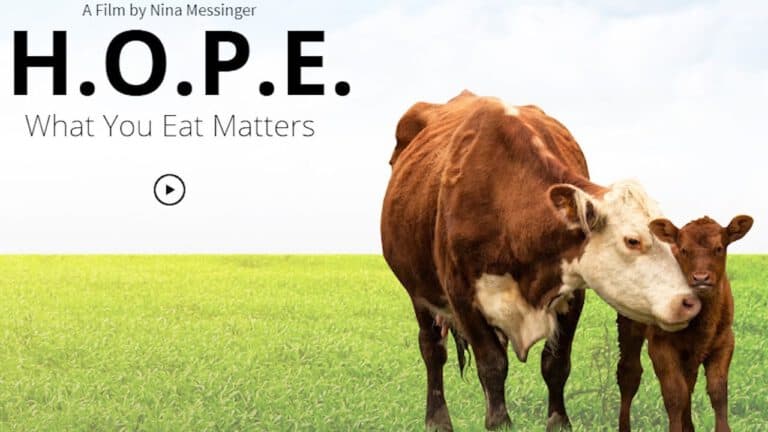 What You Eat Matters - Documentary