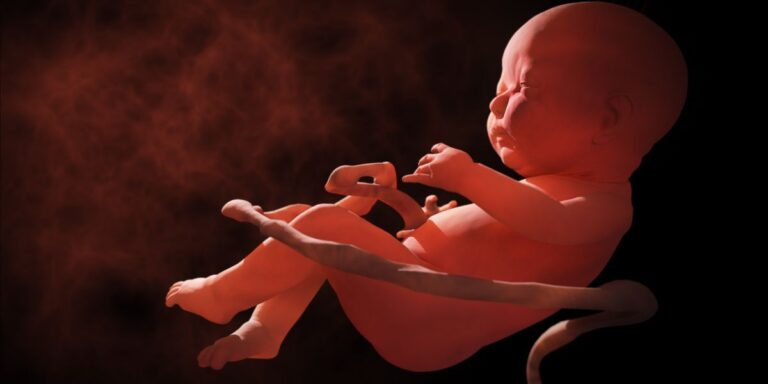Documentaries-about-Abortion